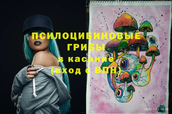 гашиш Сосновоборск