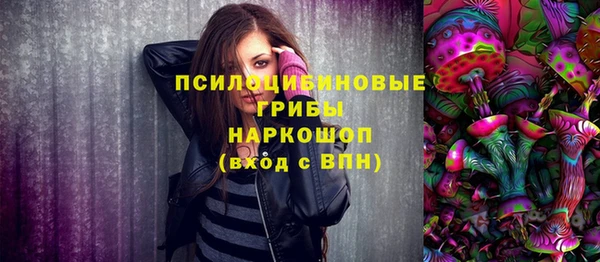 ешки Струнино